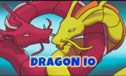 img Dragon IO